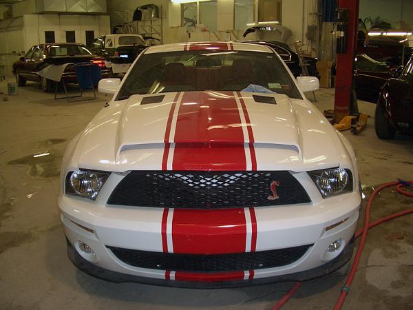 TRUFIBER HOODS for Those with GT500 front Fascia!-ukstang_1.jpg