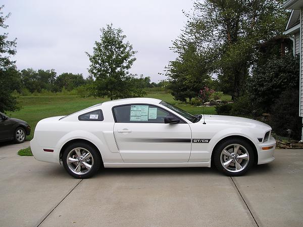 Shelby GT, GT/CS Lower Grill Driving Lights!-ff1-9170.jpg