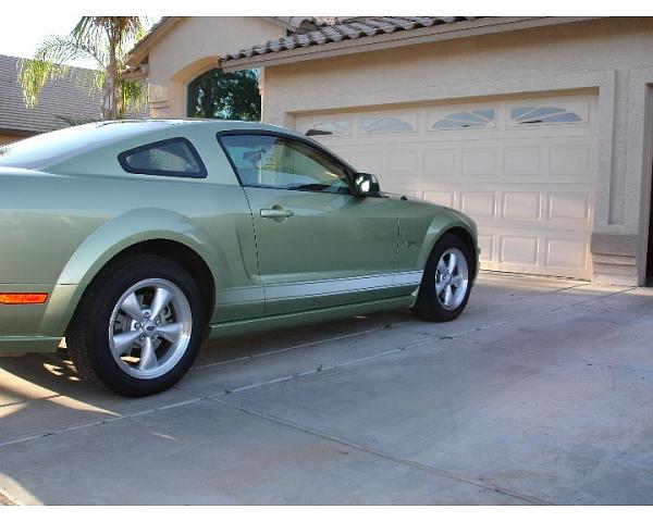 Fading Stripes: Take 2 - All interested get in here!-dsc02090.jpg