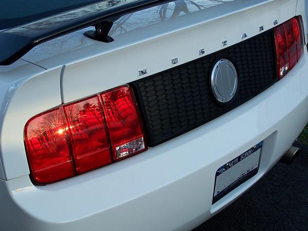 bout ready for a  ducktail, but first some questions-duck1.jpg