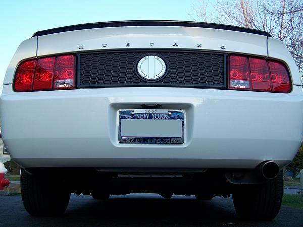 bout ready for a  ducktail, but first some questions-duck2.jpg