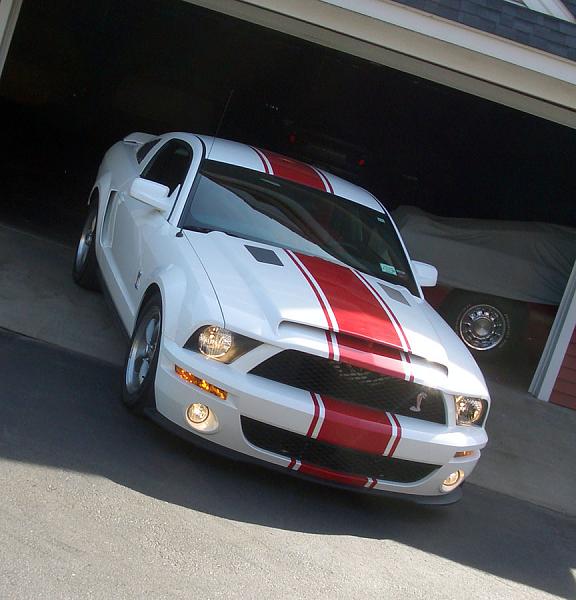 Vinvl stripes or painted????-superstang.jpg