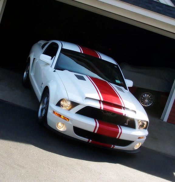 TRUFIBER HOODS for Those with GT500 front Fascia!-superstang.jpg