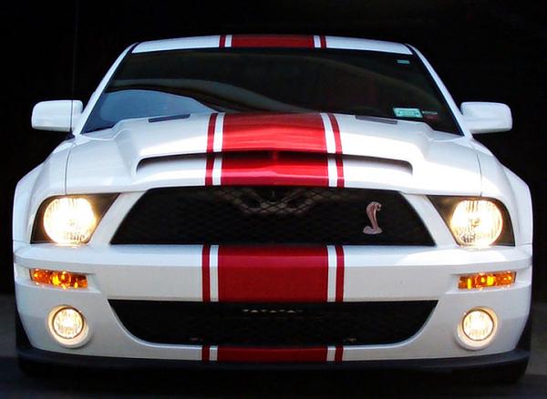 TRUFIBER HOODS for Those with GT500 front Fascia!-superstang_front.jpg