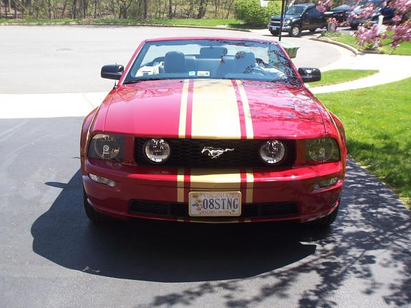 Vinvl stripes or painted????-100_2305.jpg