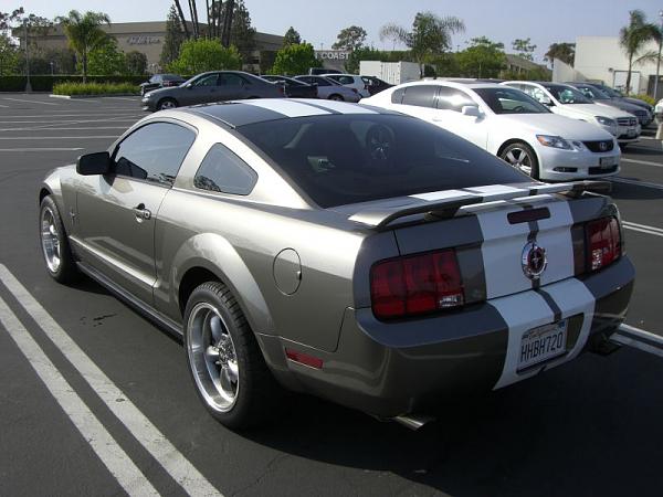 Tint question....pics would help!-tint2.jpg