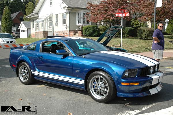 Vista Blue with red calipers?-roslyn2007.jpg