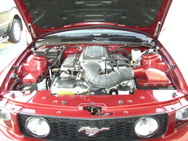 ENGINE BAY DRESS-UP-engine-bay-3.jpg