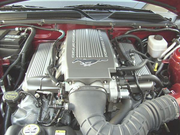 ENGINE BAY DRESS-UP-engine-bay-4.jpg