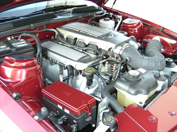 ENGINE BAY DRESS-UP-engine-bay-5.jpg