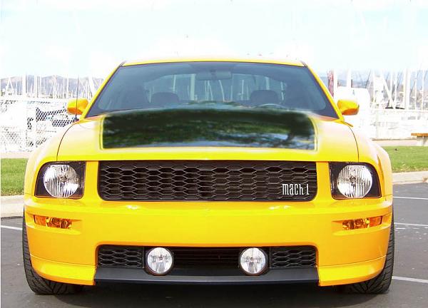 An idea for aftermarket vendors.  Replacement lower grille with foglights-bullitt-grill_gtcs-facia.jpg