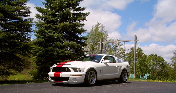 New Shelby Torq Thrust M Wheels-ss_bloomfield.jpg