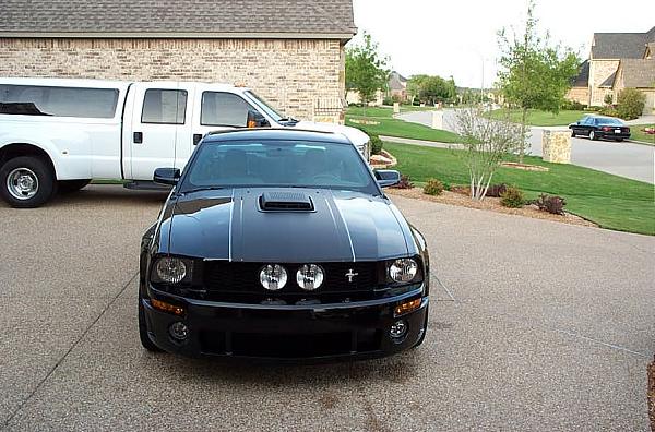 Show me your shakers-2008-mustang-005.jpg