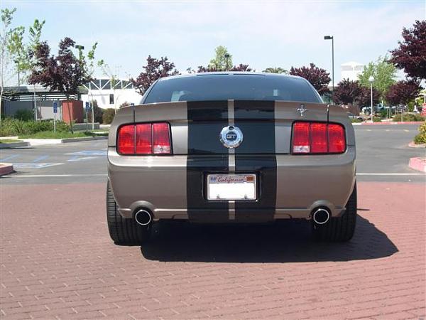 Which is the best ducktail?-rear-small-.jpg