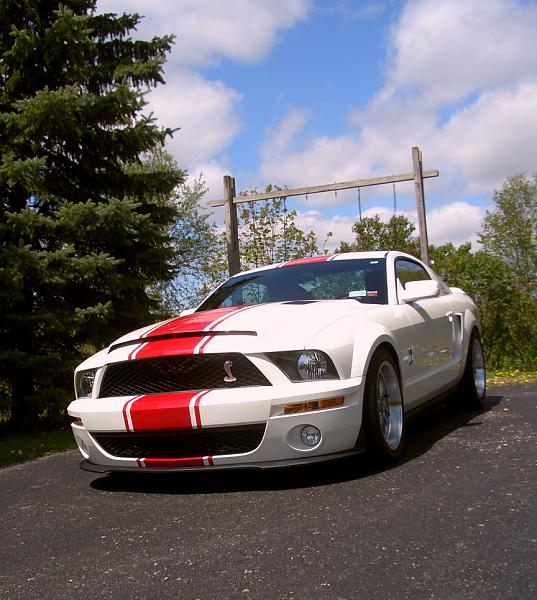 TRUFIBER HOODS for Those with GT500 front Fascia!-cimg3967_small.jpg