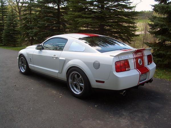 TRUFIBER HOODS for Those with GT500 front Fascia!-cimg3971_small.jpg