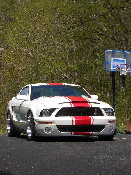 TRUFIBER HOODS for Those with GT500 front Fascia!-cimg3979_small.jpg