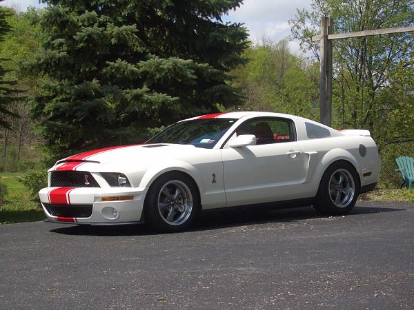 TRUFIBER HOODS for Those with GT500 front Fascia!-cimg3982_small.jpg
