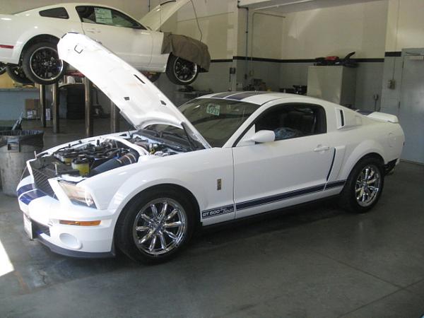 seeking wheel opinions - CS 56's-img_2818.jpg