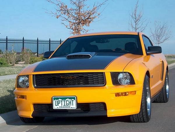 Mach 1 style hood stripe-three.jpg