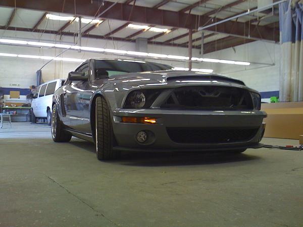 Super Snake your Stang-img_0215.jpg
