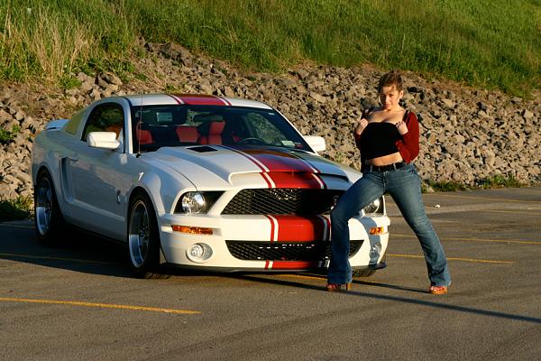 Super Snake your Stang-img_1245.jpg