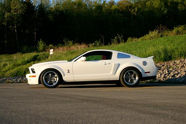 Super Snake your Stang-img_1264.jpg