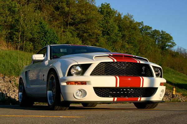 Super Snake your Stang-img_1280.jpg