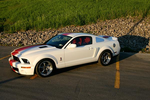 Super Snake your Stang-img_1309.jpg