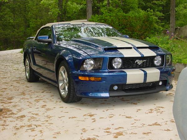 Super Snake your Stang-welts-045.jpg