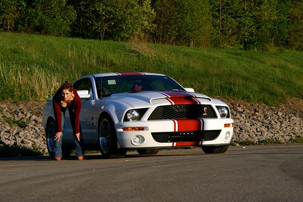 Super Snake your Stang-img_1251.jpg
