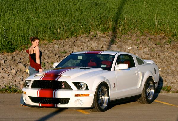 Super Snake your Stang-img_1254.jpg