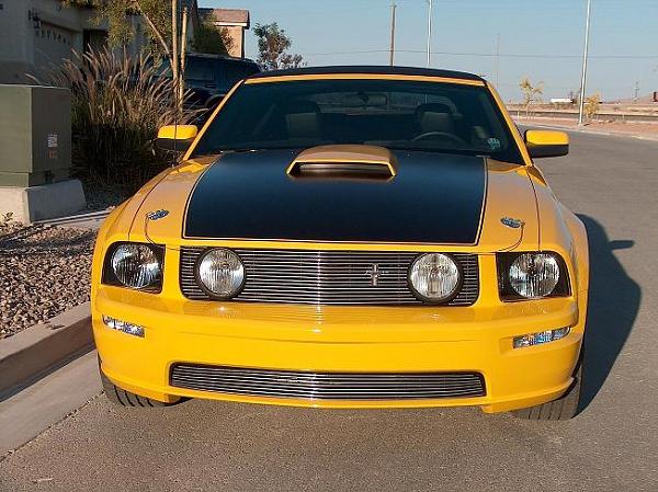 Mach 1 style hood stripe-hpim5590a.jpg