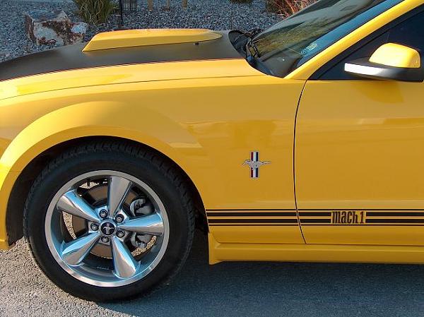 Mach 1 style hood stripe-hpim5591a.jpg