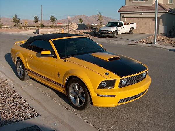 Mach 1 style hood stripe-hpim5585a.jpg