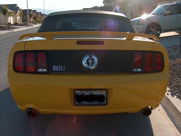 Mach 1 style hood stripe-hpim5587a.jpg