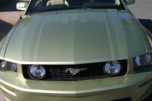 Mach 1 style hood stripe-img_0729-medium-.jpg