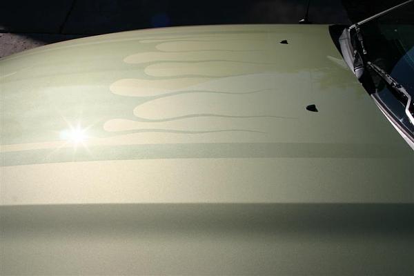 Mach 1 style hood stripe-img_0730-medium-.jpg