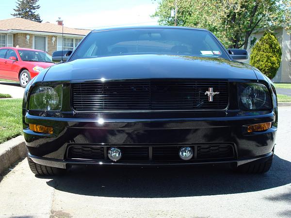 Opinions on my 2006 Mustang GT-dark-grille-emblem.jpg