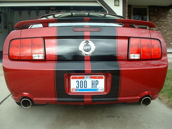 would the silverhorse panel look good on my car?-stang-stripes-008.jpg