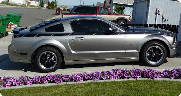 Smoked and Stealth Corners...Tons o Pics...-p1000058.jpg