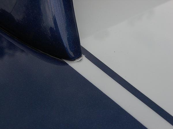 Paint job gone Wrong!!-passenger.jpg