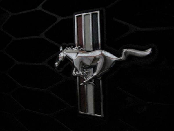 Just Installed the Street Scene Center Fog Grill. Question About Pony Emblem.-img_7133.jpg