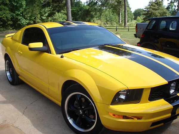 Just Installed the Street Scene Center Fog Grill. Question About Pony Emblem.-mustang-new-mods-002-duplicate.jpg