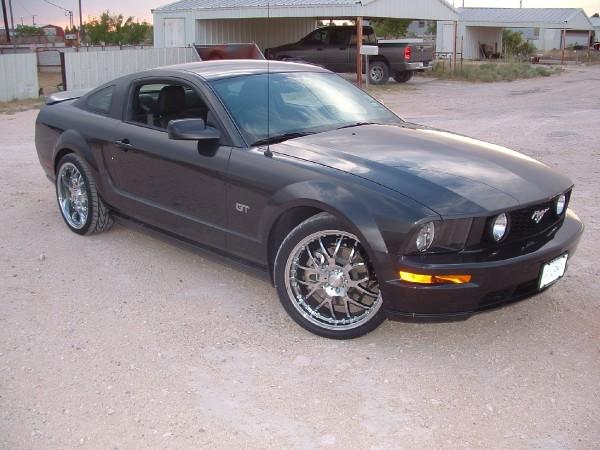 Name:  stang.jpg
Views: 2259
Size:  44.1 KB
