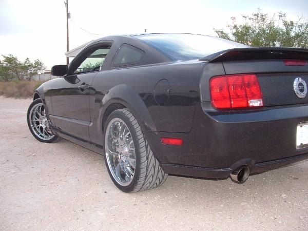 Name:  stang2.jpg
Views: 3803
Size:  38.3 KB