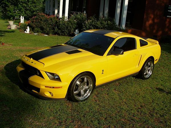 TRUFIBER HOODS for Those with GT500 front Fascia!-mustang-ss.jpg