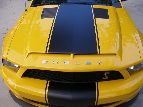 TRUFIBER HOODS for Those with GT500 front Fascia!-mustang-ss2.jpg