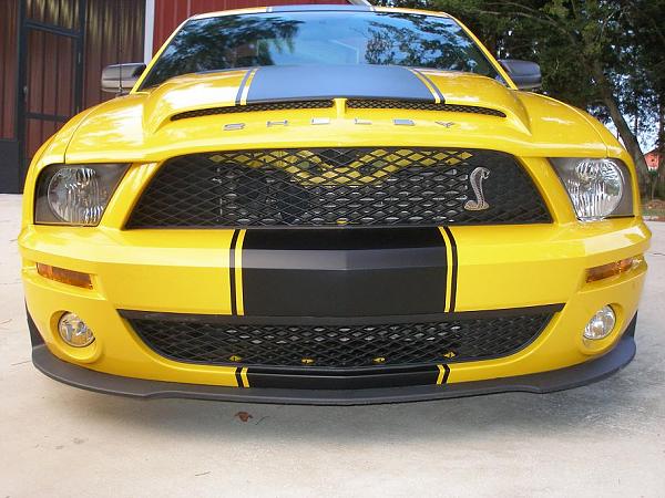 TRUFIBER HOODS for Those with GT500 front Fascia!-mustang-ss3.jpg