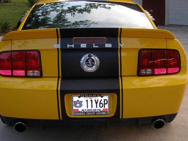 TRUFIBER HOODS for Those with GT500 front Fascia!-mustang-ss4.jpg